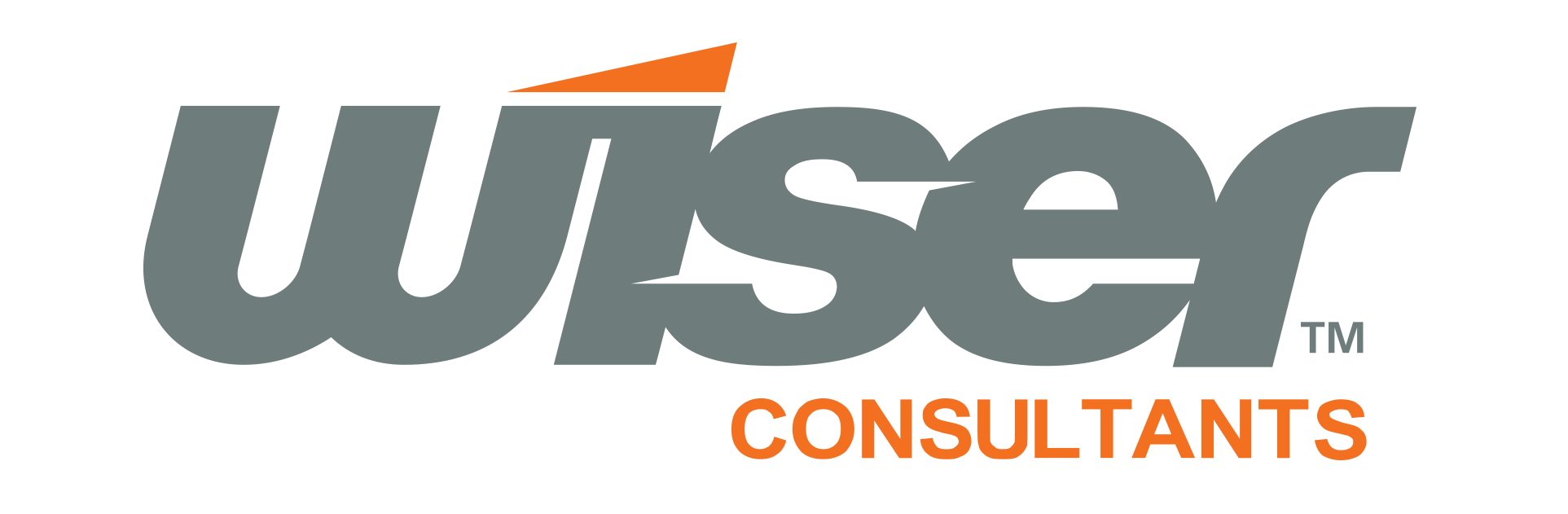 Wiser-Consultants-logo